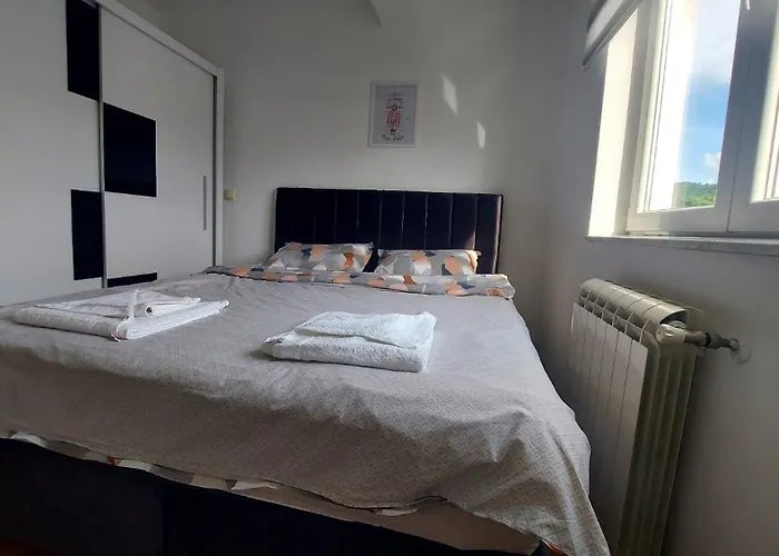 Ady * נובי פאזאר